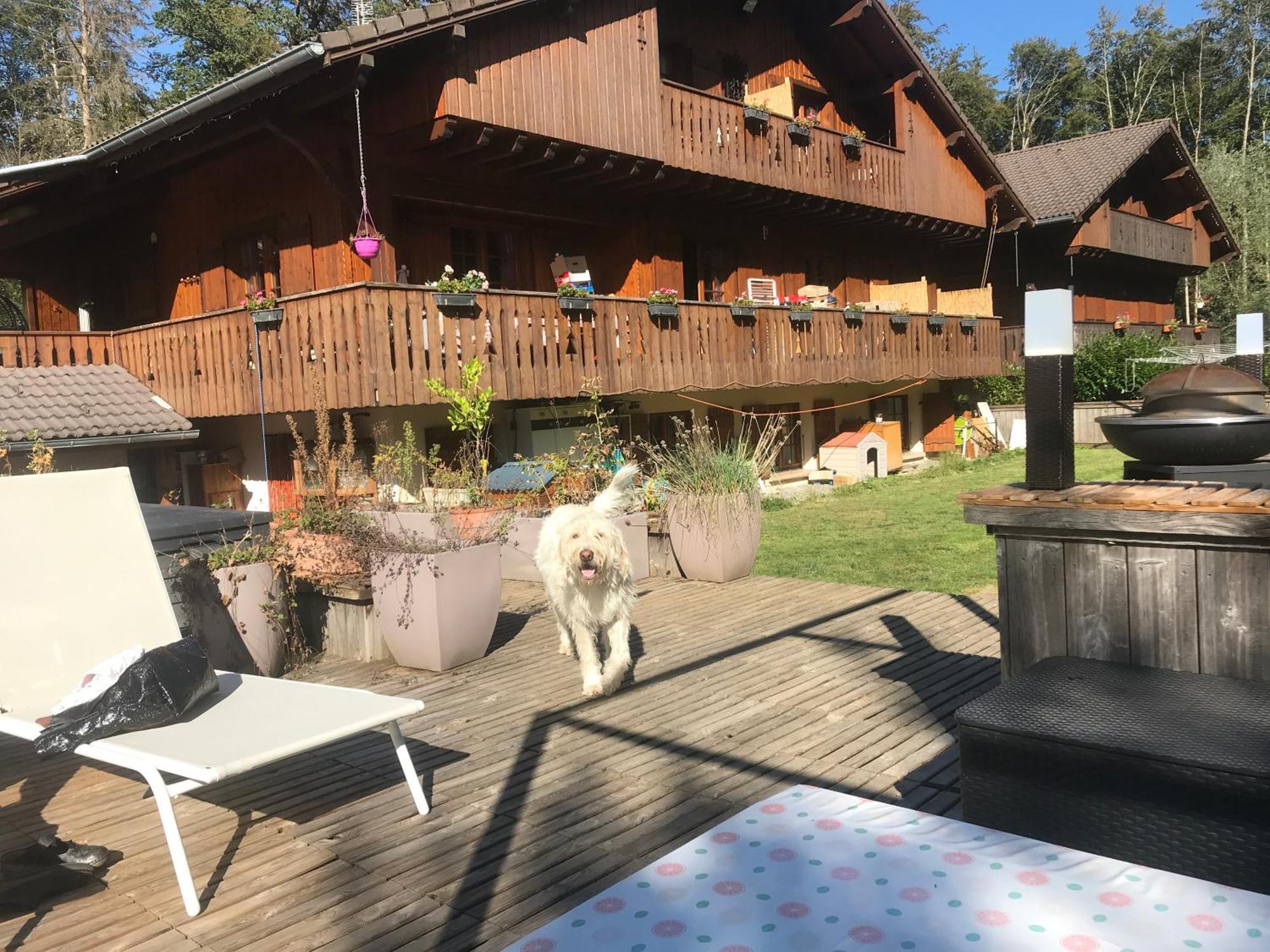 Chalet Esprit 모리론 외부 사진
